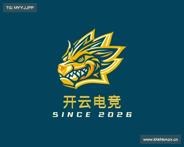 发现开云电竞